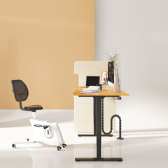 Zit sta bureau - Elektrisch - Verstelbaar - Bureauframe - Zwart - ED5B - FLEXISPOT